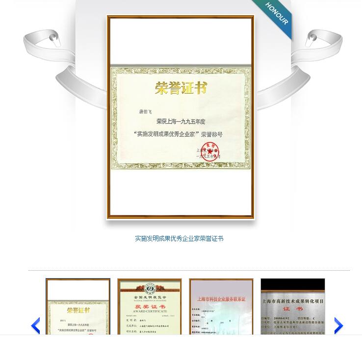 藍飛榮譽資質